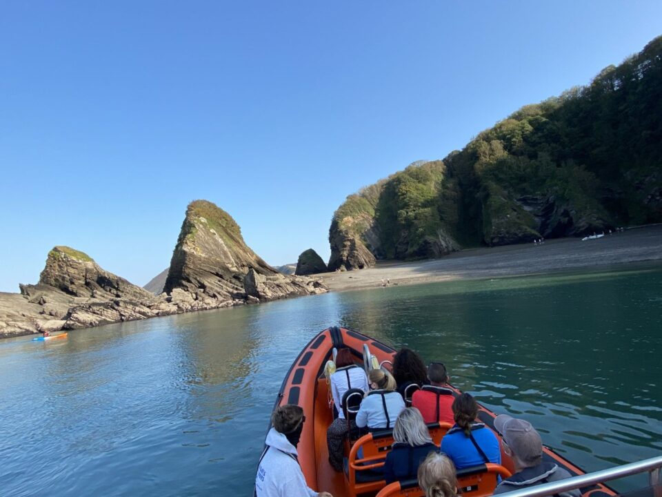 What to Expect on a Falmouth Sea Safari This Season